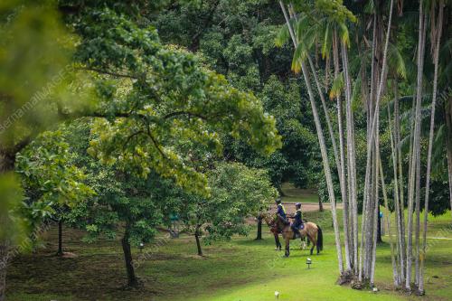 47TH ASEAN SUMMIT