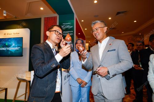 TENGKU DATUK SERI ZAFRUL AZIZ