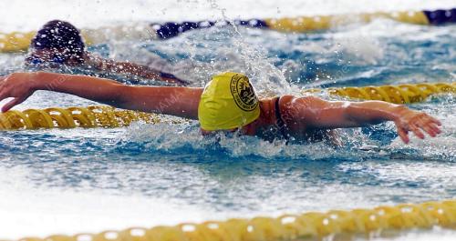 4X100 RAMPAIAN SARINGAN