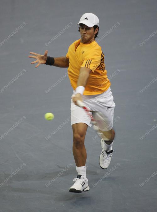 FERNANDO VERDASCO