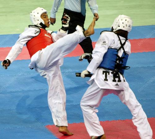 SUKAN UNIVERSITI ASEAN 2008