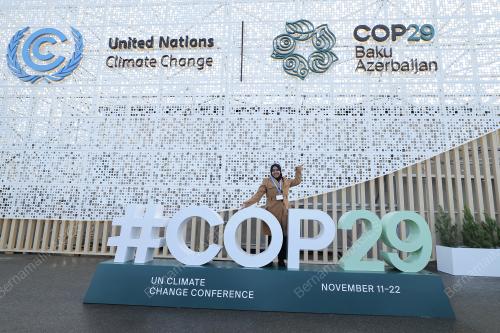 COP 29