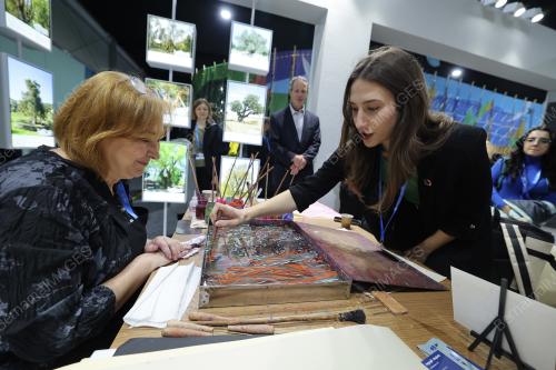 COP 29