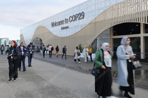 COP 29