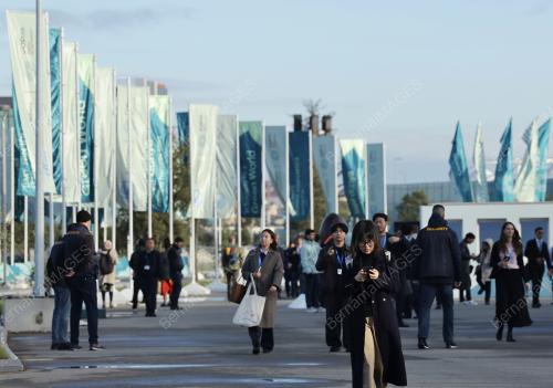 COP 29