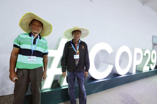 RICE FIELD WORKERS
