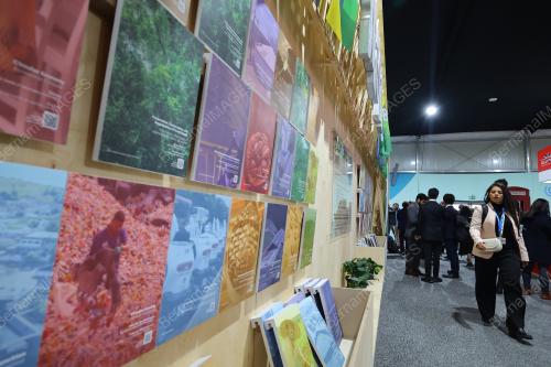 COP 29