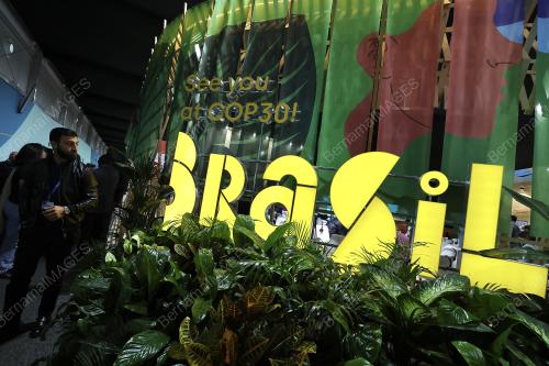 COP 29