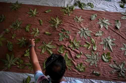 BATIK ECOPRINT