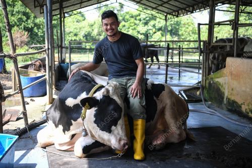 BDJ02_09082019_LEMBU
