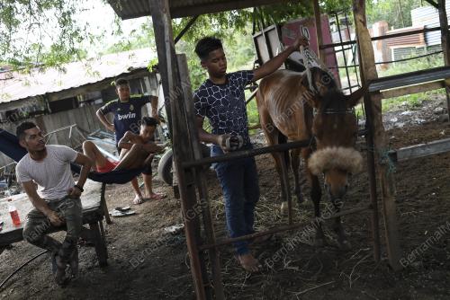 BDJ06_15022019_JOKI_KAMPUNG