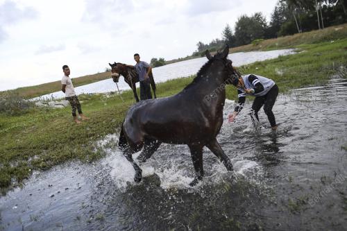 BDJ07_15022019_JOKI_KAMPUNG
