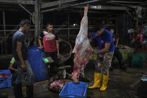 BDJ10_09082019_LEMBU