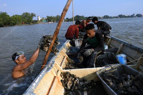 BDJ15_19072019_TIRAM_MUAR