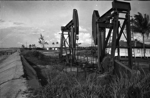 PEMANDANGAN