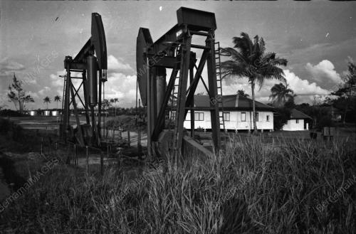 PEMANDANGAN