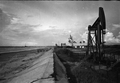 PEMANDANGAN