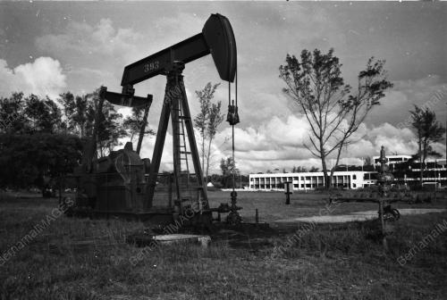 PEMANDANGAN