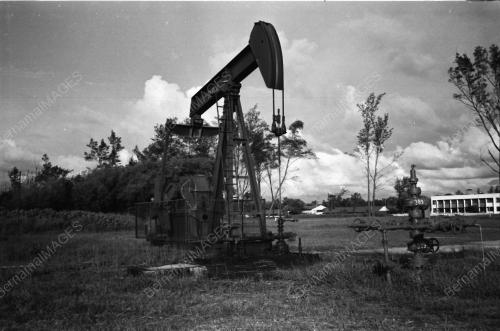 PEMANDANGAN