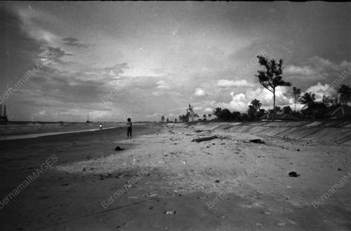 PEMANDANGAN