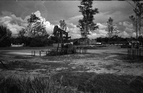 PEMANDANGAN