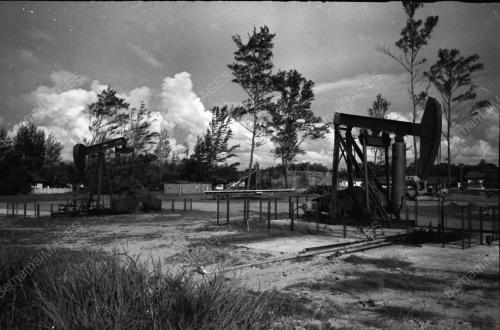 PEMANDANGAN