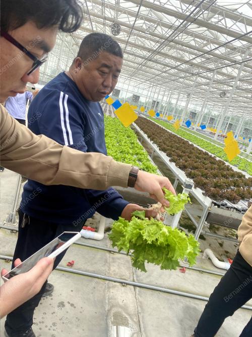 XINJIANG'S ECONOMIC