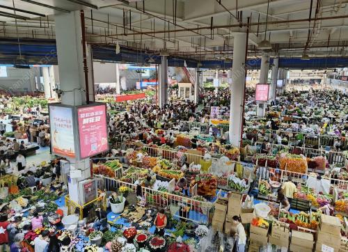 DOUNAN VILLAGE LARGESTFLOWERS MARKET IN ASIA