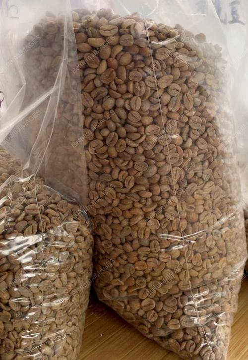 KOPI_KAMPUNG