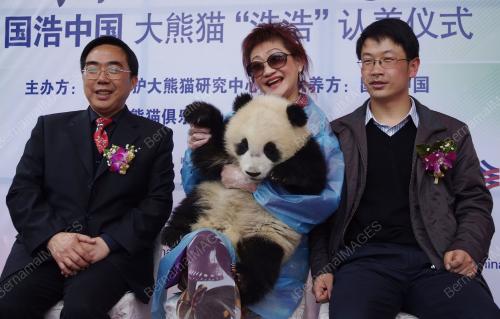 BABAY PANDA