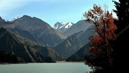 XINJIANG