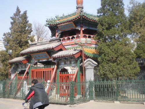 MOSQUE ATTRACTION