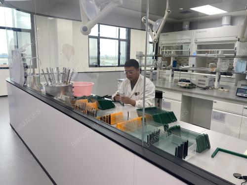 XINJANG ECONIMIC GROWTH