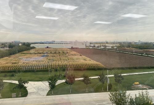 XINJANG ECONIMIC GROWTH