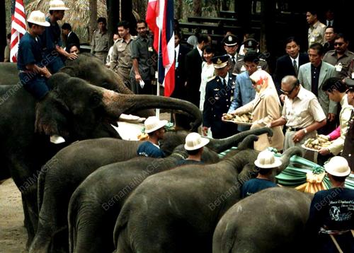 CH02-30_03_2000 MAKAN GAJAH