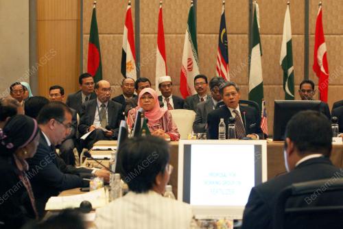 MESYUARAT LAPAN NEGARA MEMBANGUN