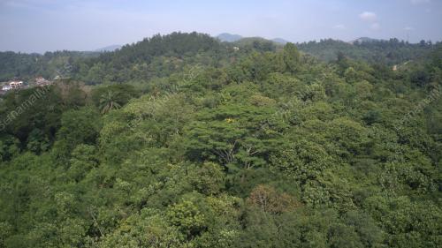 DJI 0004