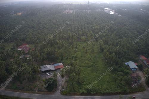 DJI 0645