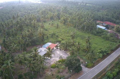 DJI 0648
