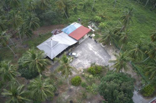 DJI 0650