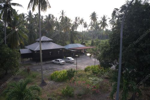 DJI 0653