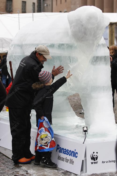 ICE POLAR BEAR FOR COP 15