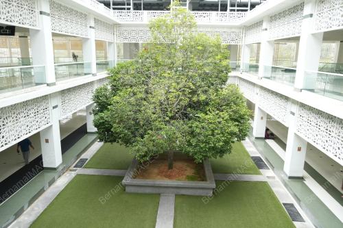 DSC01435