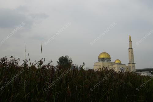 DSC01564