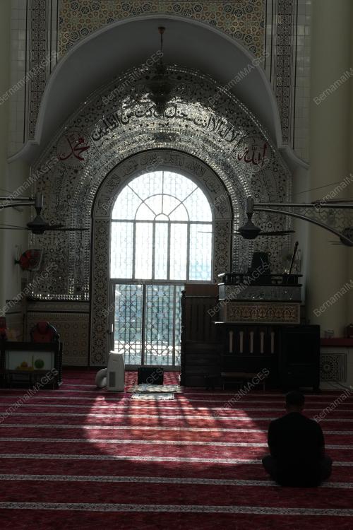 DSC01650