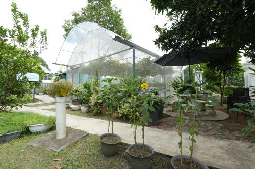 DSC01707