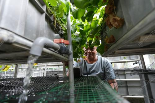 DSC01733