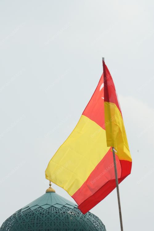 DSC01974