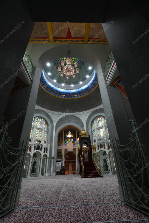 DSC02217
