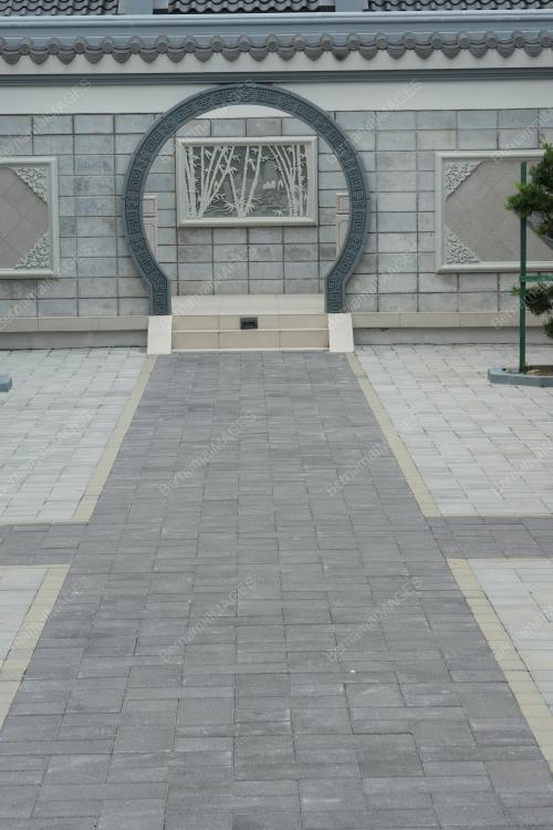 DSC02729